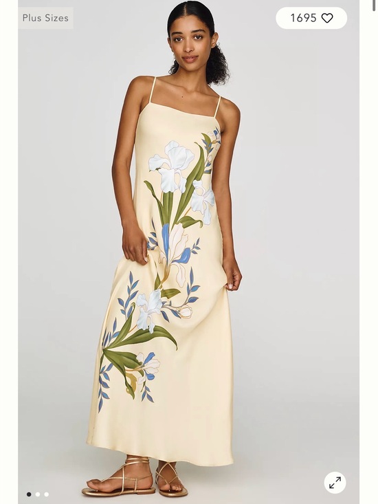 FARM Rio Dresses & Skirts - FARM Rio Pale Yellow Maxi Slip Dress with White & Blue Floral Motif